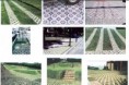 /album/galeria-de-fotos/pisogramas02-jpg/